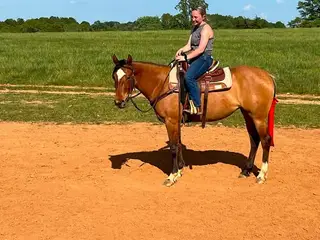 DD Texas Valentine (Fish), Dun Quarter Horse Mare for Sale in Bedford, VA, photo 5 of 5