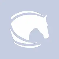 Two Tru Rare Victory (Hootie), 5 Year Old Bay Quarter Horse Gelding for Sale in Kuna, ID