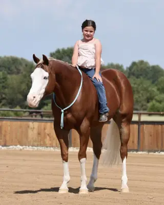 Mykindofagun (Simba), 7 Year Old Sorrel Quarter Horse Gelding for Sale in Buffalo, MO, photo 2 of 6