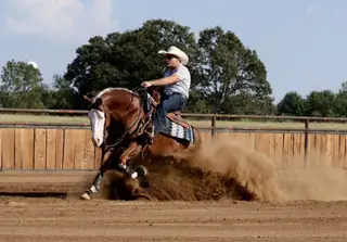 Mykindofagun (Simba), 7 Year Old Sorrel Quarter Horse Gelding for Sale in Buffalo, MO, photo 3 of 6