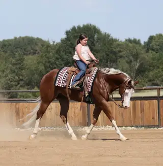 Mykindofagun (Simba), 7 Year Old Sorrel Quarter Horse Gelding for Sale in Buffalo, MO, photo 4 of 6