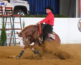 Mykindofagun (Simba), 7 Year Old Sorrel Quarter Horse Gelding for Sale in Buffalo, MO, photo 6 of 6