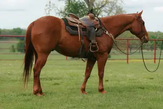 Boons Diamond Rio
