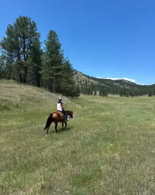 CT DRIFTIN LEONA (Chula), 4 Year Old Bay Quarter Horse Mare for Sale in Custer, SD, photo 3 of 5