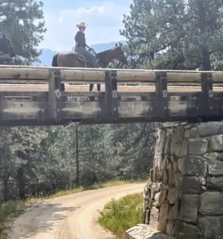 CT DRIFTIN LEONA (Chula), 4 Year Old Bay Quarter Horse Mare for Sale in Custer, SD, photo 5 of 5