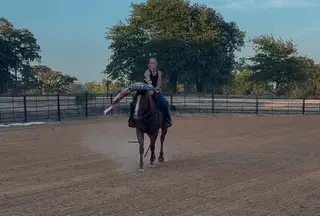 Scooter, 11 Year Old Sorrel Quarter Horse Gelding for Sale in Poolville, TX, photo 2 of 4