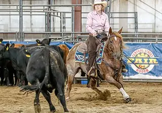 In The Limelights (Journey), 5 Year Old Red Roan Quarter Horse Mare for Sale