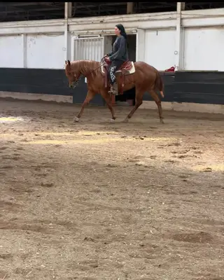 Minutemadde (Lemon), 3 Year Old Sorrel Quarter Horse Mare for Sale, photo 5 of 5