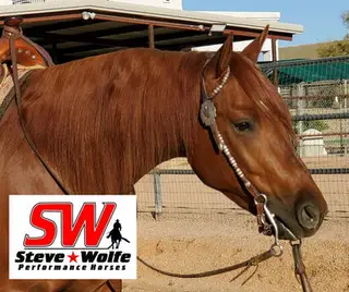 Gelding by Magnum Chic Dream, 4 Year Old Sorrel Quarter Horse Gelding for Sale in AZ