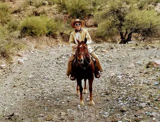 Rosie One, 8 Year Old Sorrel Quarter Horse Mare for Sale in Gilbert, AZ, photo 3 of 5