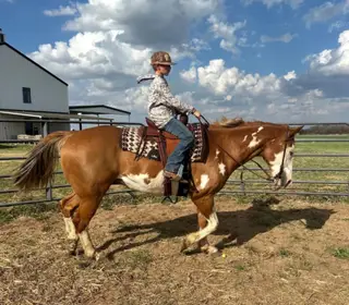 Cheeto, 14 Year Old Sorrel Paint Gelding for Sale in Abilene, TX, photo 4 of 4