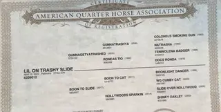 Lil On Trashy Slide, 4 Year Old Palomino Quarter Horse Stallion for Sale in Canton, SD, photo 5 of 5