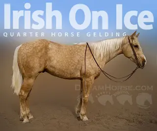 Irish On Ice (Popcorn)