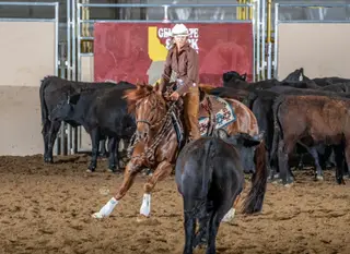 RTR Red Hot Class (Yogi), 4 Year Old Sorrel Quarter Horse Gelding for Sale in Ellensburg, WA, photo 2 of 4