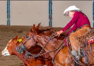 RTR Red Hot Class (Yogi), 4 Year Old Sorrel Quarter Horse Gelding for Sale in Ellensburg, WA, photo 3 of 4