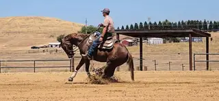 MSU Gettn Hot In Here, 2 Year Old Chestnut Quarter Horse Filly for Sale in Sacramento, CA, photo 5 of 5