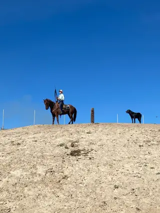 Copper, 4 Year Old Red Roan Quarter Horse Gelding for Sale in ID, photo 2 of 2