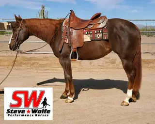 Mare by Magnum Chic Dream, 9 Year Old Paint Mare for Sale in AZ