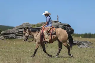 Zans Frosty Moonglow, 4 Year Old Buckskin Quarter Horse Gelding for Sale in Sundance, WY, photo 2 of 5