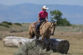 Zans Frosty Moonglow, 4 Year Old Buckskin Quarter Horse Gelding for Sale in Sundance, WY, photo 3 of 5