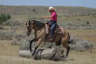 Zans Frosty Moonglow, 4 Year Old Buckskin Quarter Horse Gelding for Sale in Sundance, WY, photo 4 of 5