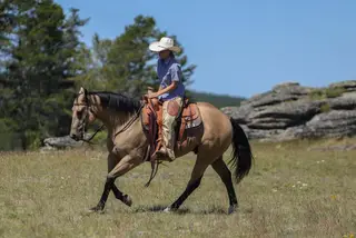 Zans Frosty Moonglow, 4 Year Old Buckskin Quarter Horse Gelding for Sale in Sundance, WY, photo 5 of 5