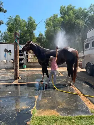 Big Time Frosty (Lucy), 9 Year Old Chestnut Quarter Horse Mare for Sale in CA, photo 2 of 4