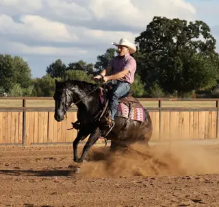 This Chicks Smokn (Izzy), 2 Year Old Black Quarter Horse Filly for Sale in Buffalo, MO, photo 4 of 6