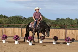 This Chicks Smokn (Izzy), 2 Year Old Black Quarter Horse Filly for Sale in Buffalo, MO, photo 5 of 6