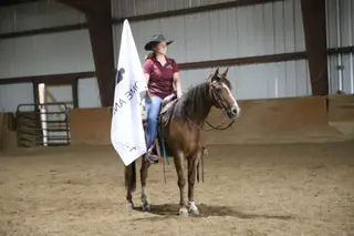 Lenas High On Pepto (Rosie), 14 Year Old Red Roan Quarter Horse Mare for Sale in Nunn, CO, photo 3 of 4