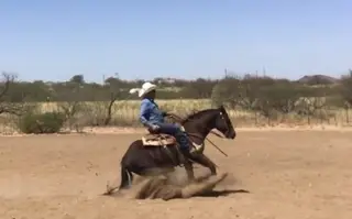 Chaco