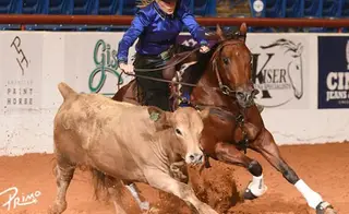 Quit Your Mitchin (Logan)