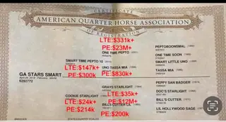 Colt by Taggline, 1 Year Old Roan Quarter Horse Colt for Sale in Whitesboro, TX, photo 3 of 4