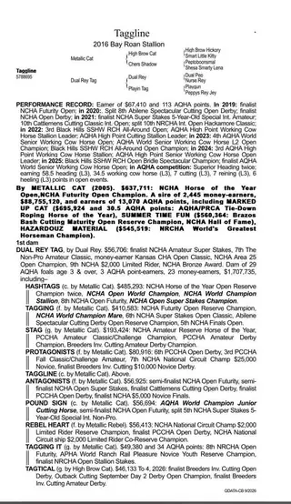 Colt by Taggline, 1 Year Old Roan Quarter Horse Colt for Sale in Whitesboro, TX, photo 4 of 4