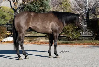 Mare by A Vintage Smoke
