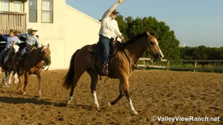 Mack, 15 Year Old Buckskin Quarter Horse Gelding for Sale in Forney, TX, photo 4 of 6