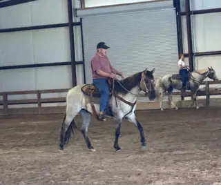 Cedar, 3 Year Old Grullo Quarter Horse Gelding for Sale in Danielsville, GA
