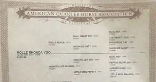 Rollz Rhonda Voo, 4 Year Old Sorrel Quarter Horse Mare for Sale in Ridgeville, IN, photo 3 of 3
