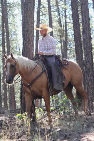 Jrhaypatchfernrocket (Dolly), 13 Year Old Palomino Quarter Horse Mare for Sale in Ignacio, CO, photo 3 of 5