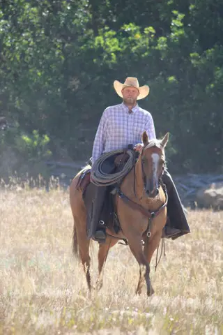 Jrhaypatchfernrocket (Dolly), 13 Year Old Palomino Quarter Horse Mare for Sale in Ignacio, CO, photo 5 of 5