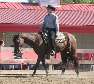A High Investment (Goose), 8 Year Old Bay Quarter Horse Mare for Sale in Walton, KY, photo 2 of 4