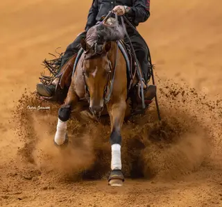 Gelding by Spooks Gotta Whiz, 6 Year Old Quarter Horse Gelding for Sale in TX