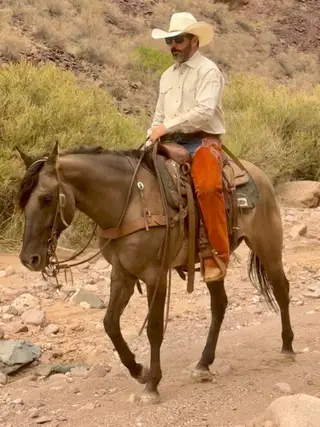 Mouse, 8 Year Old Grulla Quarter Horse Gelding for Sale in Magdalena, NM