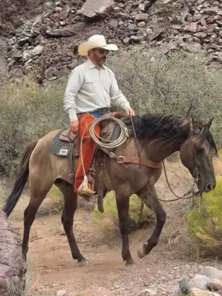 Mouse, 8 Year Old Grulla Quarter Horse Gelding for Sale in Magdalena, NM, photo 2 of 5