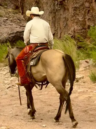 Mouse, 8 Year Old Grulla Quarter Horse Gelding for Sale in Magdalena, NM, photo 3 of 5