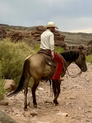 Mouse, 8 Year Old Grulla Quarter Horse Gelding for Sale in Magdalena, NM, photo 4 of 5