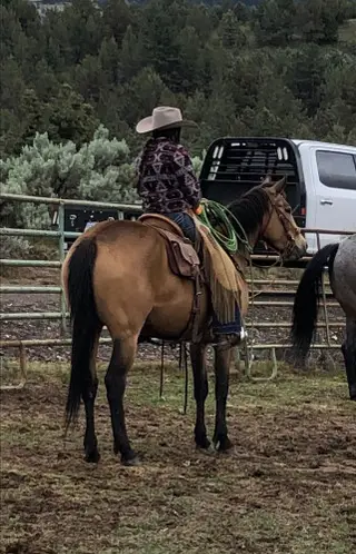 Bar Dot 282 (May), 5 Year Old Buckskin Quarter Horse Mare for Sale in Hamilton, OR, photo 4 of 5