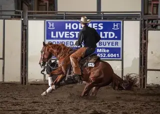 Surelys Rebel, 7 Year Old Sorrel Quarter Horse Gelding for Sale in Okotoks, AB, photo 4 of 6