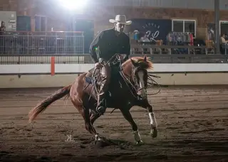 Surelys Rebel, 7 Year Old Sorrel Quarter Horse Gelding for Sale in Okotoks, AB, photo 5 of 6