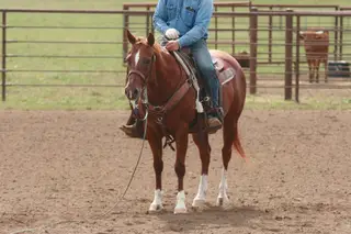 Tivio Johnson Delis, 11 Year Old Sorrel Quarter Horse Mare for Sale in Carthage, MO, photo 2 of 5